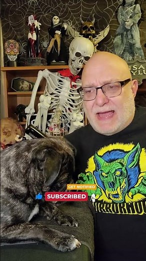 Horror Collectibles - Life sized Megan Doll