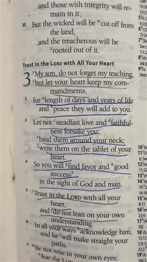 Trust inthe Lord with All Your Heart Proverbs 3:1-5 #Jesus #bibleverse #ThankYouLord # | The Bible Verses