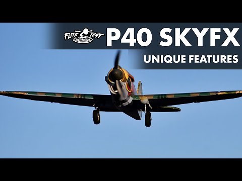 Mighty Mini P40 SkyFx: Unique Features