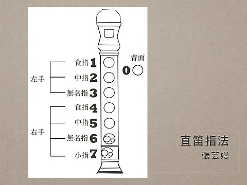 中音直笛指法