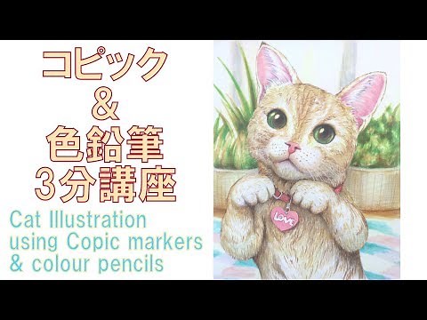 【猫イラスト】3分でわかるコピック＆色鉛筆 Copic Illustration of a cat Time lapse 【早回しねこ描き方講座。可愛いネコイラストを描こう】By Atelier K