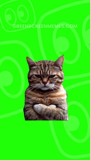 Get this video in 4K — DM “Meme” for the download link 📥 Grumpy cat meme green screen #memes #greenscreenmemes #greenscreen #christmas #happyholidays