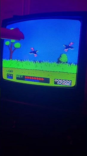 Duck hunt and Mario bros such a fun time!