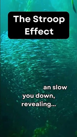 The Stroop Effect: How Conflicting Words Slow Your Brain | Quick Psychology Fact