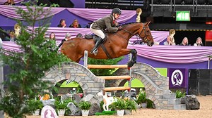 ‘He’s an all-round athlete’: ‘pocket rocket’ wins HOYS working hunter championship