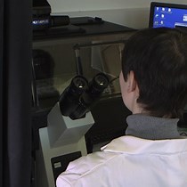 Video: Generation, Amplification, and Titration of Recombinant Respiratory Syncytial Viruses