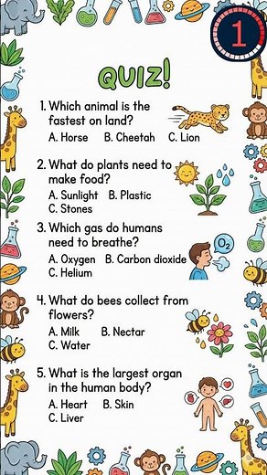 General Knowledge Quiz Challenge | Can you get all of them right