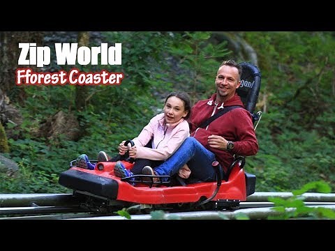 Zip World Fforest Coaster | POV Footage Riding UKs only Alpine Roller Coaster