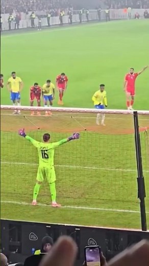 اهداف مباراة تونس والبرازيل 1-1 اليوم #football