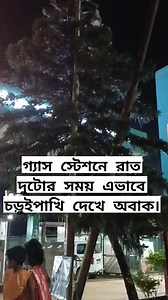 My bengal cooking. on Reels