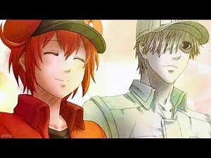 Cells at Work [AMV] - You're The Worst