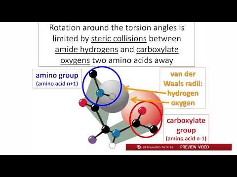 Biochemistry Protein Secondary Structure tutorial