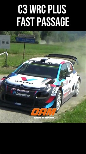 Citroen C3 WRC Plus in a fast section of the PS - #C3WRCPLUS # #rally #fullattack #speed #wrcplus