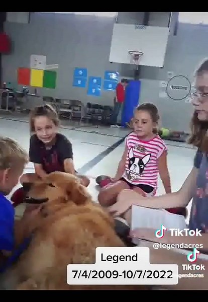 Legend’s Story Legend was more than a therapy dog. Legend was a partner, a teacher, and a quiet source of comfort for countless people. Legend began his journey with Kristi May after her return from military deployment. Together they visited people who needed connection most. Hospitals Veterans Students Seniors Legend had a way of sensing when someone needed encouragement. A gentle nudge. A quiet moment beside a desk. A wagging tail that made someone smile. Legend is now a Rainbow Bridge dog can
