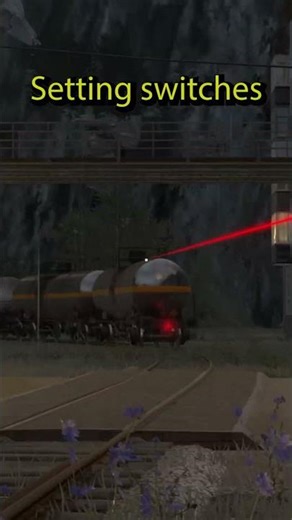 How to properly set correct switches in Derail Valley?