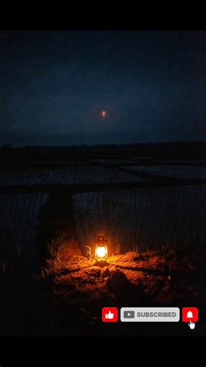 ধানক্ষেতে দেখা সেই আলো… আজও কেউ জানে না আসলে ওটা কী ছিল!” পার্ট ৫ #ভুতেরগল্প #bhutergolpo #shots