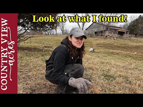 What did Rebekah Find in the Pasture? Come with us on a walk around the homestead.