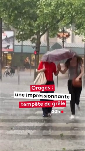2M views · 14K reactions | Alerte aux orages sur une grande partie de la France. Et c’est d’abord en Île-de-France que la météo a brusquement tourné avec cette violente averse de grêle à Paris notamment, situation identique sur la région lyonnaise ou encore en Normandie. #jt20h #actualités #orages #météo #grêle #tempete | Le 20h – France Télévisions | Facebook