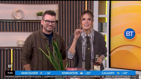 How to become a master mixologist when it comes to making your own drinks