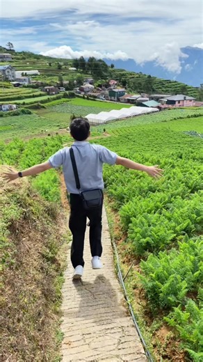 Explore the Breathtaking Beauty of Atok, Benguet | Travel Guide