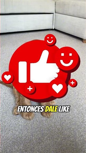 ¿Qué ocurre realmente si se rompe el vidrio de una piscina infinita? 😱