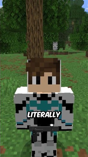 God Seed In Minecraft...