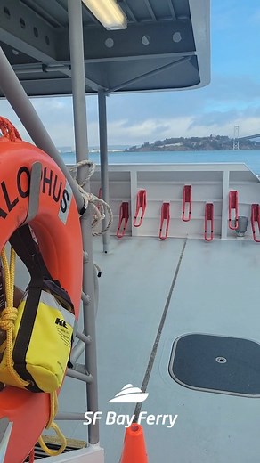 This morning, SF Bay Ferry officially welcomed MV Zalophus into our fleet - the fourth in the Dorado class and the final diesel-powered boat as the agency moves toward building electric vessels. Special thanks to our guests for joining, including Lou Seal from @sfgiants, local 2nd grader Reed M. who named the vessel after California's sea lions, and representatives from @danielluriesf @sf_port. Read more about the vessel at sfbf.mobi/celebrating-mv-zalophus | San Francisco Bay Ferry