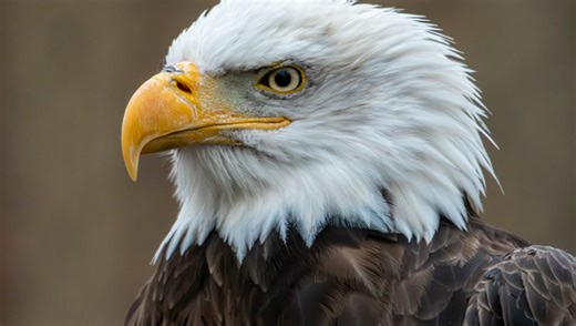 When Should You Perform Noise Reduction on Your Images?