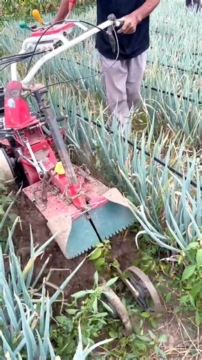 6.1K views · 13 reactions | 81/ Next Level Farming Hacks That Actually Work!! #naturalfarm #reels #agriculture | Natural Farm Kirirom | Facebook