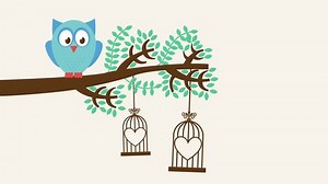 Owl On Branch Video Animation Hd Stock Footage Video (100% Royalty-free) 9001456 | Shutterstock