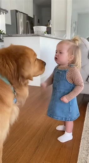 #dog #cutebaby #funnytoddler | Funny Babies