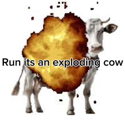 exploding cow#shortvideo #trending #trendingshorts #funny #shorts #cow#shortsfeed #feedshorts#viral