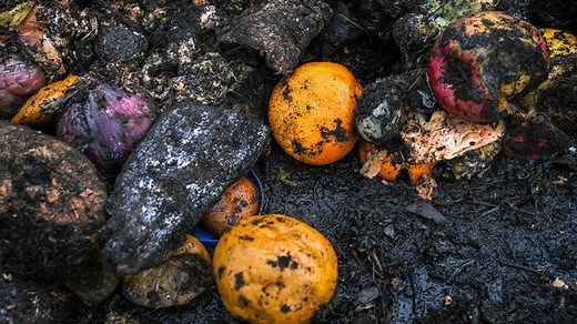 Why is one-third of our food wasted worldwide?
