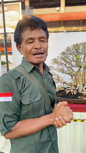 3.5K views · 24 reactions | Pak Ujang memberikan edukasi tentang bonsai di Pameran “Java Master 2025” di Pati. #bonsai #ppbi #JavaMaster | Lintas Pati | Facebook