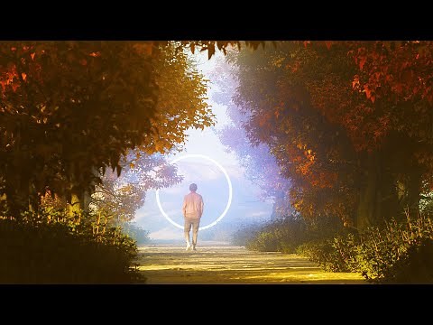 Solution: Narrative Exposure Therapy