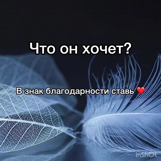 Ответ👇 Он долго колебался, думал, потому что сомневался нужны ли ему эти отношения, и наконец-то принял доя себя решение. Он хочет весь свой негативный опыт оставить в прошлом и начать с вами всё с чистого листа , строить отношения, который приведут к семьи. Он точно для себя решил, что хочет строитт свою жизнь рядом с вами. Единственное что, если вы ждёте большой романтики, то от него вы её не дождётесь, потому что в его голове проявлять внимание, строить серьёзные отношения- это быть практичн