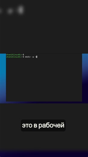 Создание структуры директорий в Linux 🗂️
