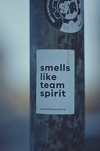 How To Deal With Septic Vent Smell In And Around Your Property