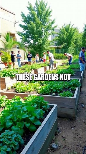 Exploring the Benefits of Community Gardens
