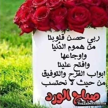 أجمل صور للصباح مع دعاء😴💜💐#حالات واتس آب رووعة للصباح🌷🌼 #جديد2020😍