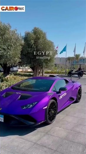 Summer is the best time to visit Egypt 🌿