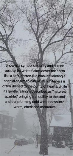 Snow is a symbol of purity and serene beauty. Its white flakes cover the earth like a soft, cotton-like blanket, lending a special charm to nature. Its whiteness is often likened to the purity of hearts, while its gentle falling is described as