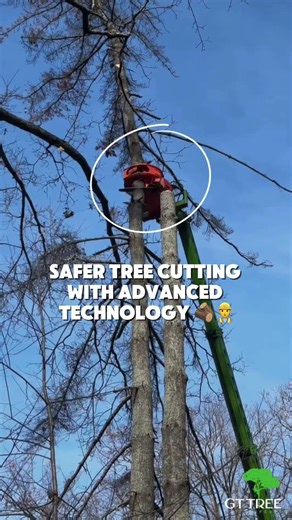 🪵 Tree Removal Only Gets Easier With This Bad Boy #treeremoval
