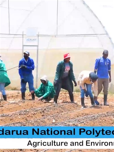 Our Agriculture and Environmental Studies Department offers competency-based training that equips trainees with practical skills in crop and animal production, sustainable and climate-smart agriculture, soil and water conservation, environmental management, farm machinery operations among others. More than 300 agricultural trainees have benefited from the Mkulima Majuu program, through which they have travelled to the United Kingdom to advance their skills. Through a learn-as-you-earn model, our