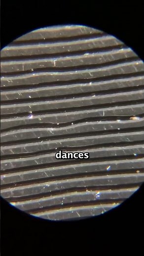 How Vinyl Records Actually Play Music