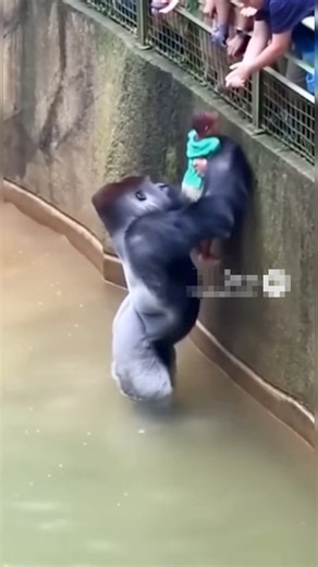 74K views · 2.2K reactions | Wow ❤️❤️ | Hasan’s Collective | Facebook