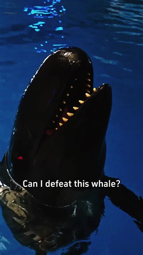 Which one do you think is the most dangerous ?#science #popular #usa #whale