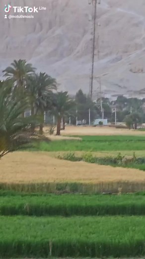 9.3K views · 417 reactions | The Mortuary Temple of Queen  Hatshepsut. Luxor, Egypt  Mo Tuthmosis | Tour guide Mo Tuthmosis III. Key of Luxor | Facebook