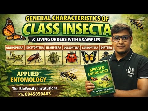 CU Zoology SEC | Class Insecta General Characteristics & Orders (With Examples) | Applied Entomology