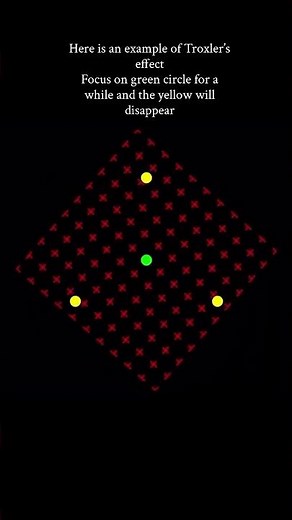 The Green Circle Illusion: A Mind-Blowing Trick You Can’t Unsee